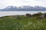 mkb_3-514_6-514_store-korsnes-I-II_2019_073