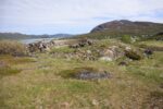 mkb_3-514_6-514_store-korsnes-I-II_2025_016