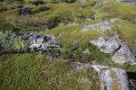 mkb_3-514_6-514_store-korsnes-I-II_2025_031