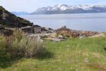 mkb_3-514_6-514_store-korsnes-I-II_2025_036