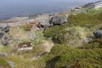 mkb_3-514_6-514_store-korsnes-I-II_2025_066