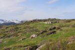 mkb_3-514_6-514_store-korsnes-I-II_2025_144