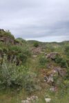mkb_3-516_loedingen_2023_040