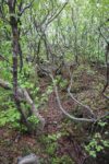 mkb_3-517_kirkenes_2025_011