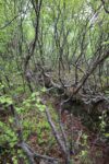 mkb_3-517_kirkenes_2025_012