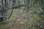 mkb_3-517_kirkenes_2025_015