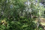 mkb_4-507_oerlandet_2016_080