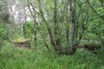 mkb_4-507_oerlandet_2023_023