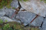 mkb_4-512_bergsfjord_2023_033