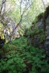 mkb_4-512_bergsfjord_2023_050