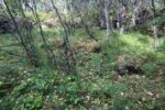 mkb_4-512_bergsfjord_2023_076