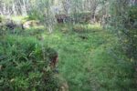 mkb_4-512_bergsfjord_2023_078