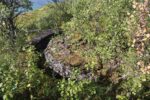 mkb_4-512_bergsfjord_2023_120