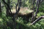 mkb_4-512_bergsfjord_2023_135