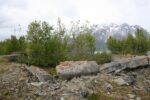 mkb_4-514_alta_2019_034