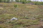 mkb_4-514_alta_2019_046