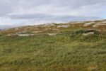 mkb_4-514_alta_2023_075