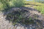 mkb_4-514_alta_2025_008