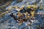 mkb_4-514_alta_2025_034