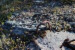 mkb_4-514_alta_2025_039