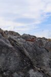 mkb_4-516_engeloey-II_2023_002