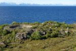 mkb_4-516_engeloey-I_dietl_2019_086