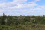 mkb_4-516_engeloey-I_dietl_2023_283