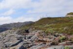 mkb_4-517_mestersand_2025_001