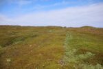 mkb_4-517_mestersand_2025_005