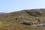 mkb_4-517_mestersand_2025_006