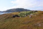 mkb_4-517_mestersand_2025_009