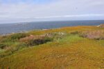 mkb_4-517_mestersand_2025_014