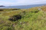 mkb_4-517_mestersand_2025_027