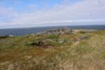 mkb_4-517_mestersand_2025_028
