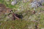 mkb_4-517_mestersand_2025_029