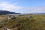 mkb_4-517_mestersand_2025_037
