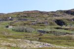 mkb_4-517_mestersand_2025_050