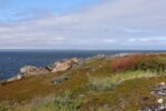 mkb_4-517_mestersand_2025_057