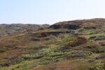 mkb_4-517_mestersand_2025_063