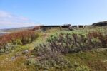 mkb_4-517_mestersand_2025_079