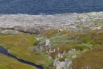 mkb_4-517_mestersand_2025_089