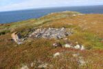 mkb_4-517_mestersand_2025_091