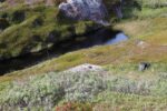 mkb_4-517_mestersand_2025_106