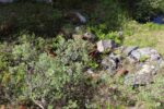 mkb_4-517_mestersand_2025_107