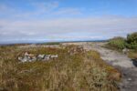 mkb_4-517_mestersand_2025_118
