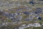 mkb_4-517_mestersand_2025_127