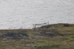 mkb_4-517_mestersand_2025_148