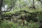 mkb_5-506_stoerdal_2025_009