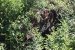 mkb_5-510_broemneset_2023_057