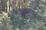 mkb_5-510_broemneset_2023_060